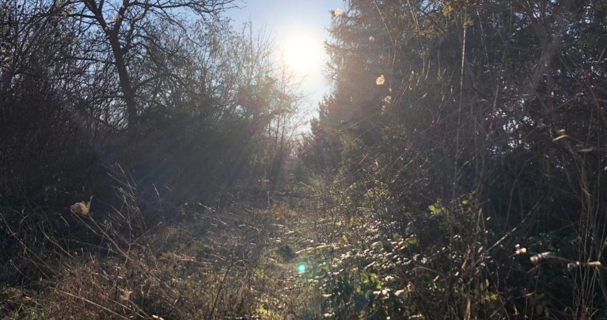 vente Terrain en lotissement Maule