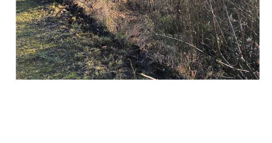 vente Terrain en lotissement Maule