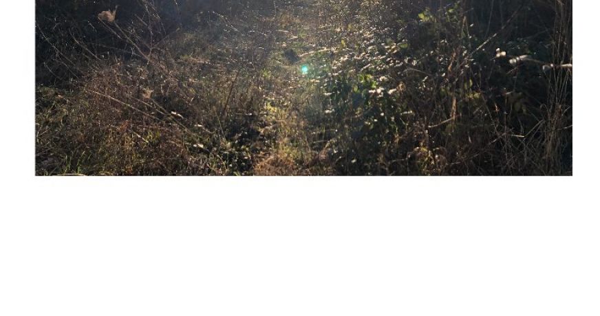 vente Terrain en lotissement Maule