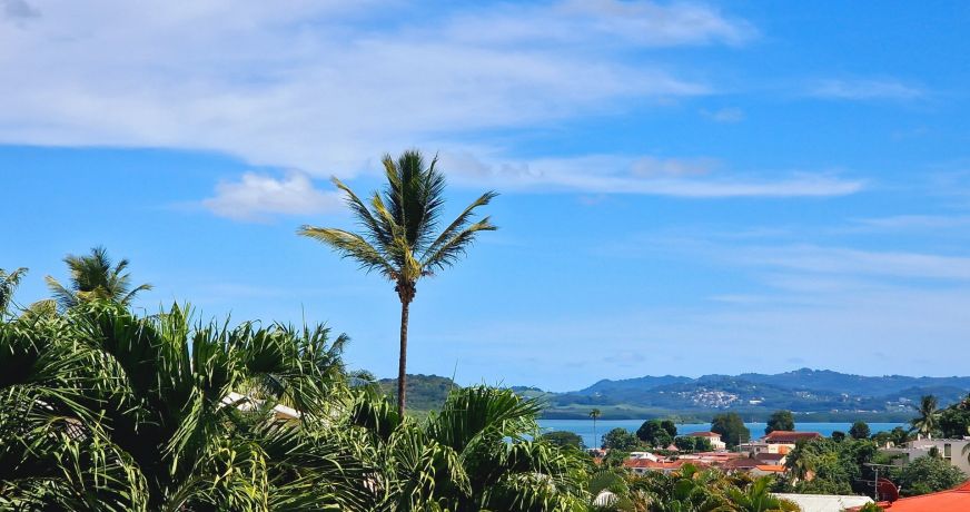 vente Maison Les Trois Ilets