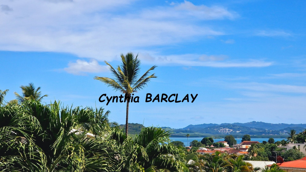 vente Maison Les Trois Ilets - Photo 2