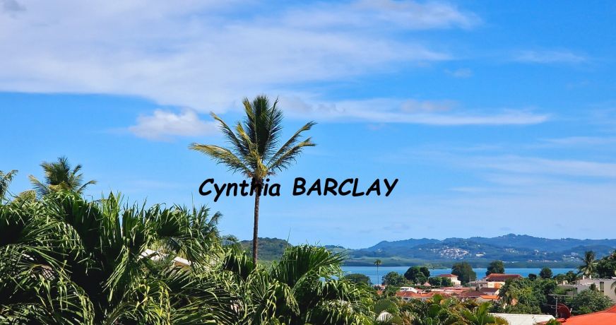 vente Maison Les Trois Ilets