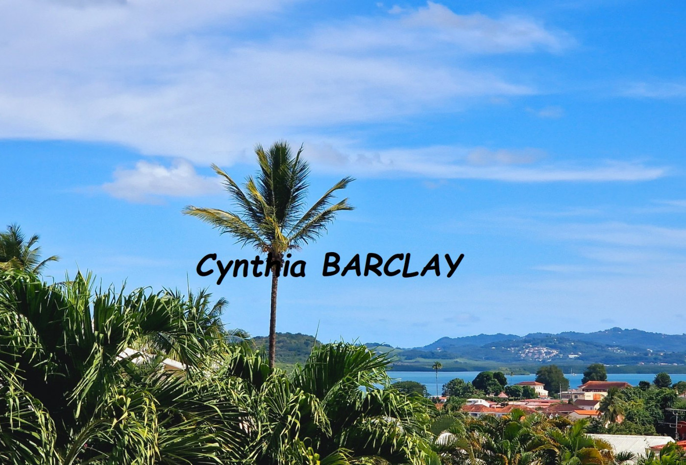 vente Maison Les Trois Ilets - Photo 2