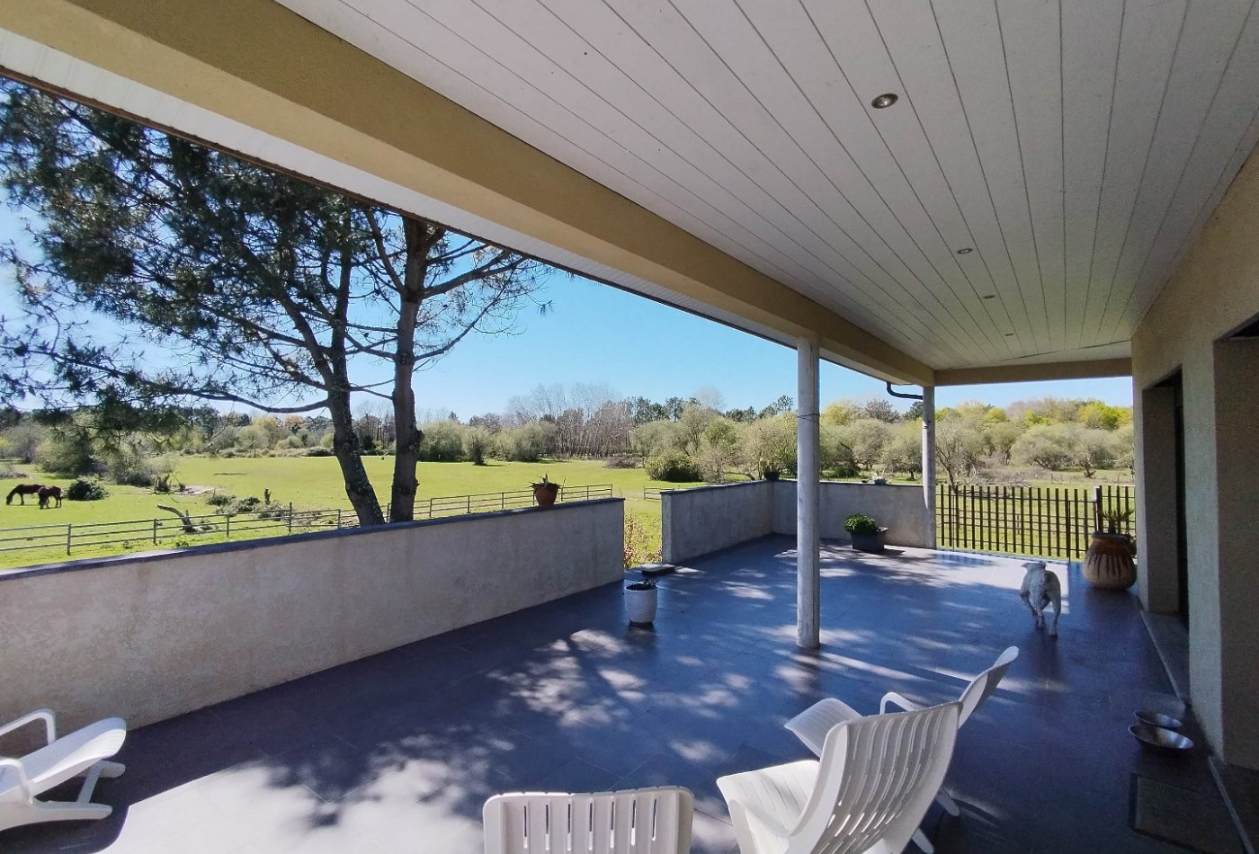 vente Maison individuelle Marcenais - Photo 6