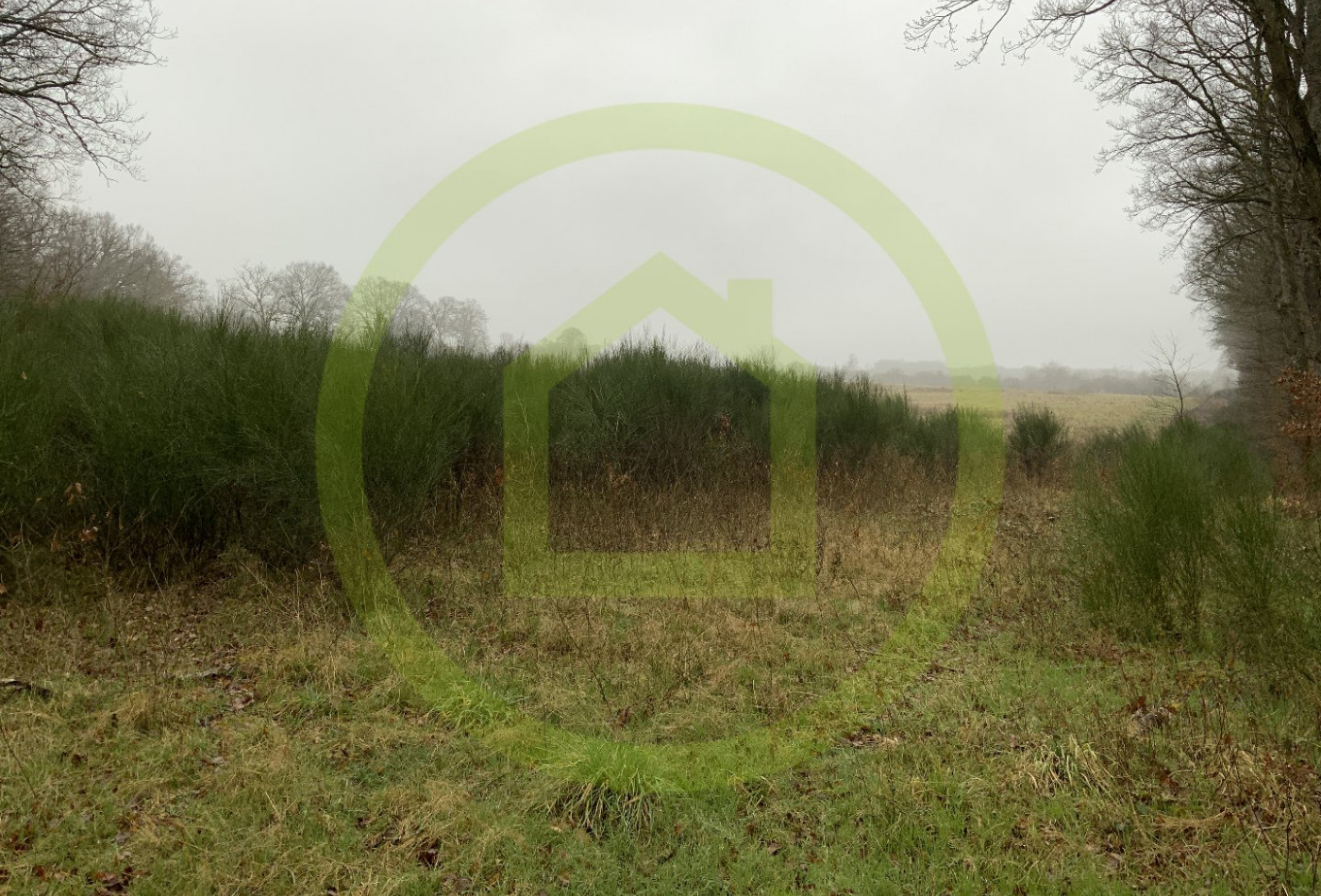 vente Terrain Lignerolles - Photo 2