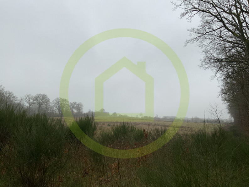 vente Terrain Lignerolles - Photo 3