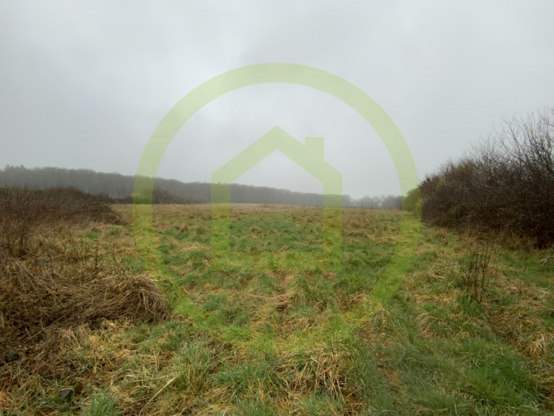 vente Terrain Lignerolles - Photo 1