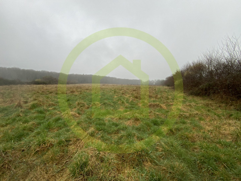 vente Terrain Lignerolles - Photo 7