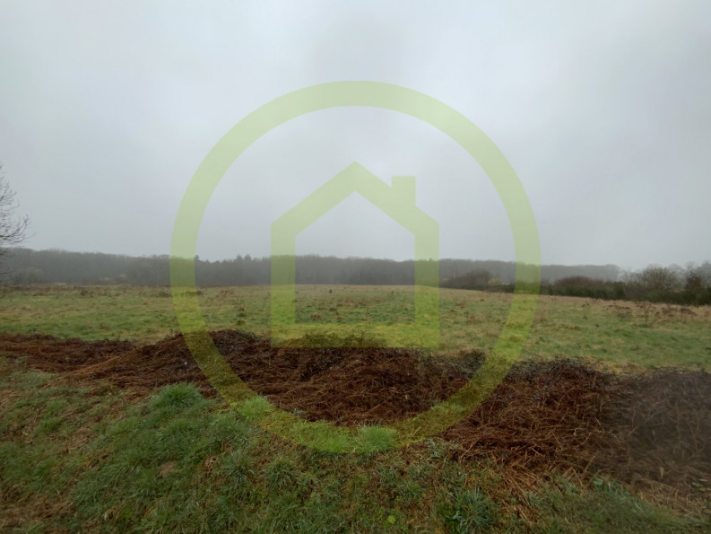 vente Terrain Lignerolles - Photo 4