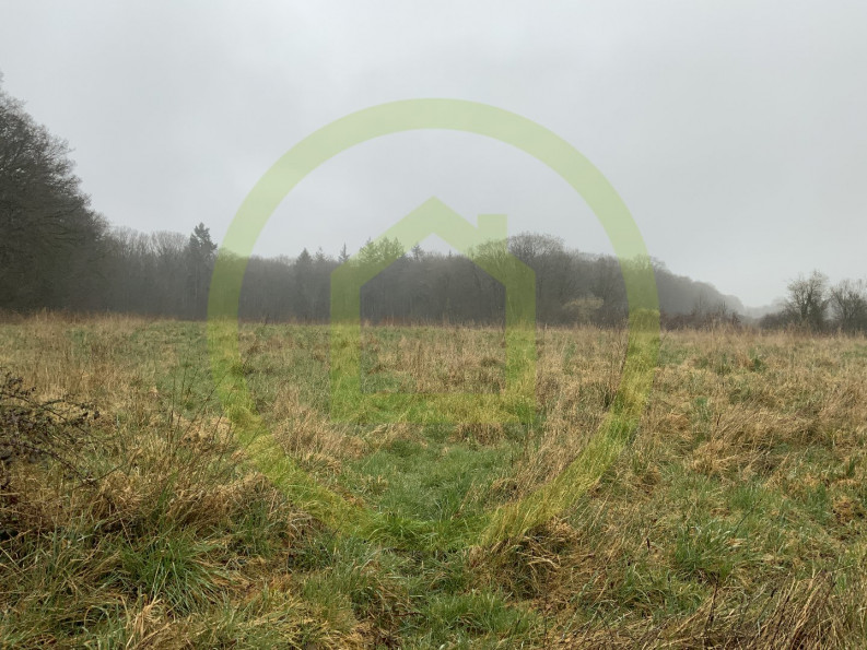 vente Terrain Lignerolles - Photo 5