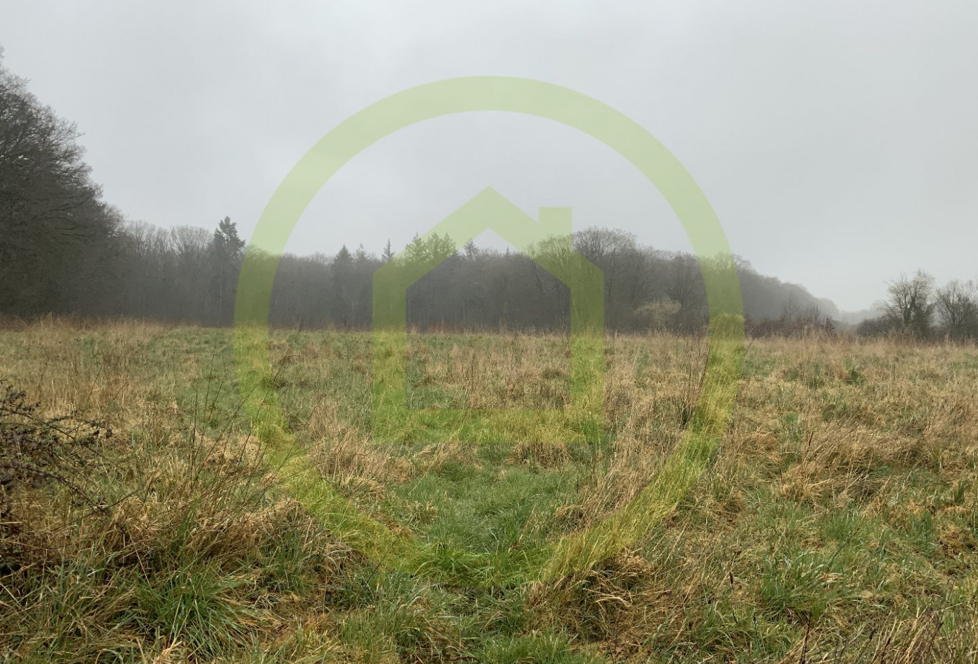 vente Terrain Lignerolles - Photo 5