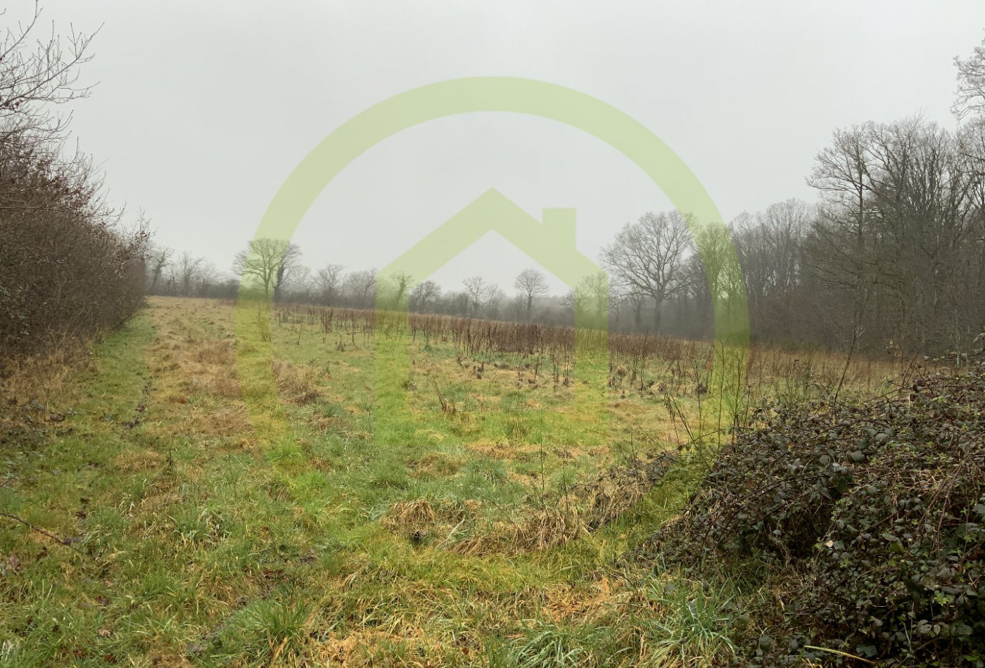 vente Terrain Lignerolles - Photo 6