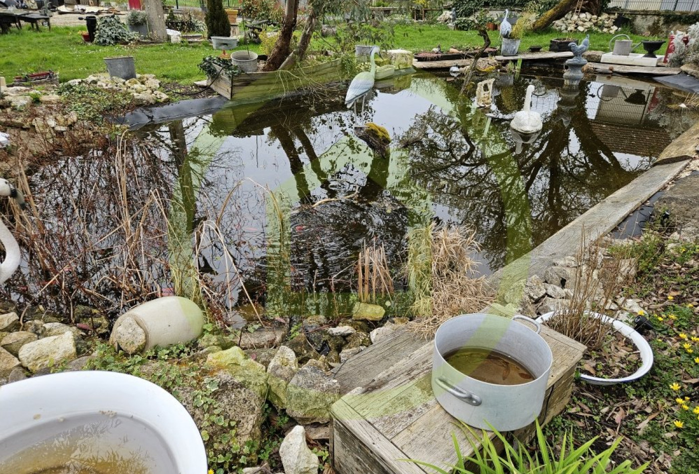 vente Maison bourgeoise Paulnay - Photo 2
