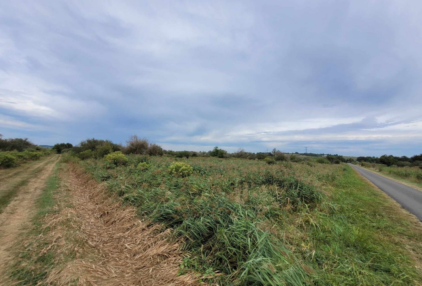 vente Terrain Saint Bonnet Sur Gironde - Photo 2