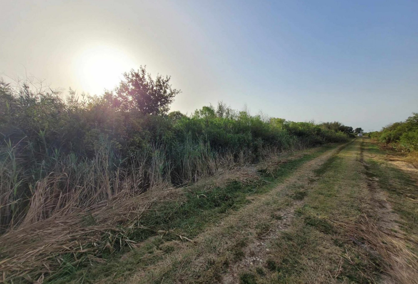 vente Terrain Saint Bonnet Sur Gironde - Photo 4