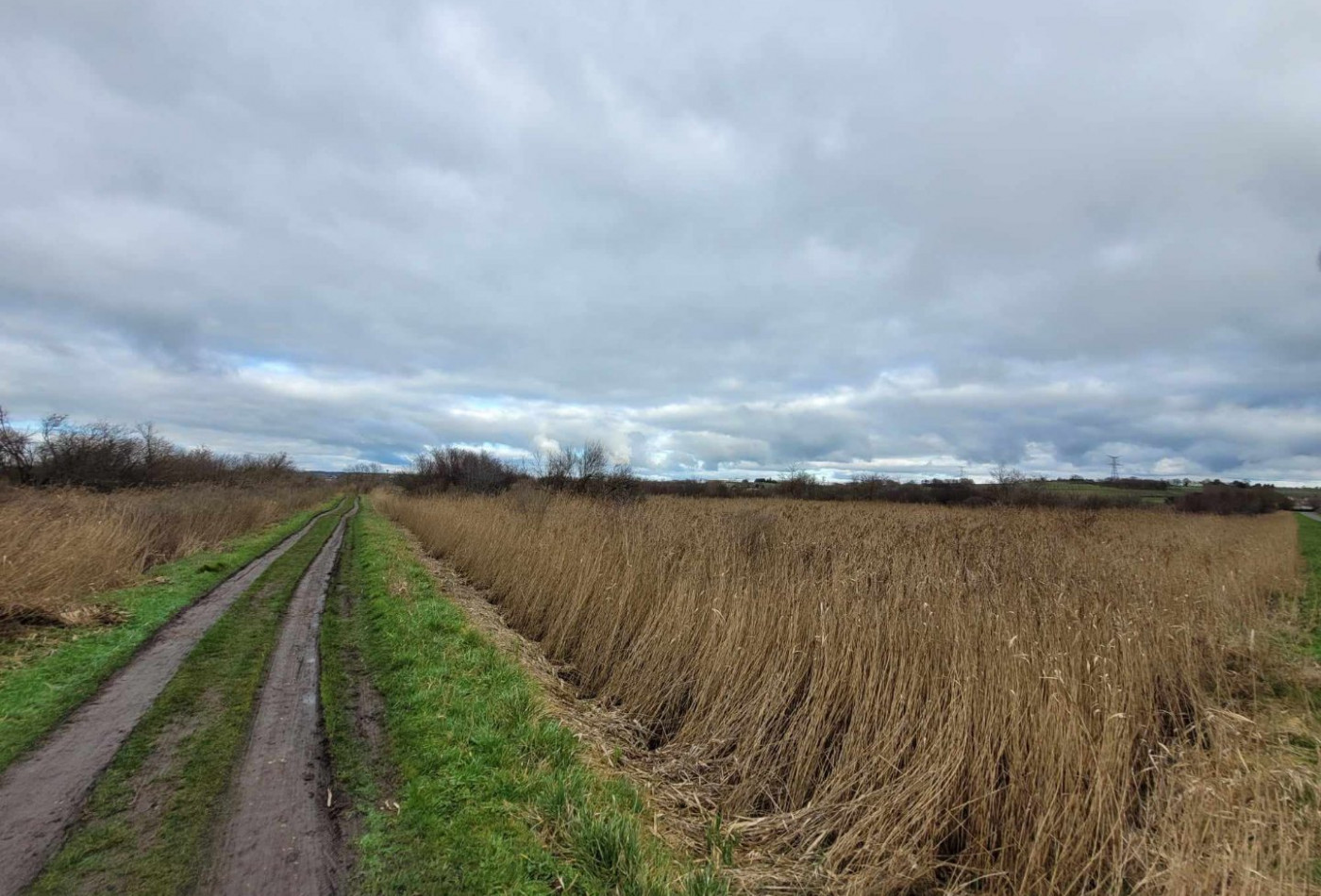vente Terrain Saint Bonnet Sur Gironde - Photo 5