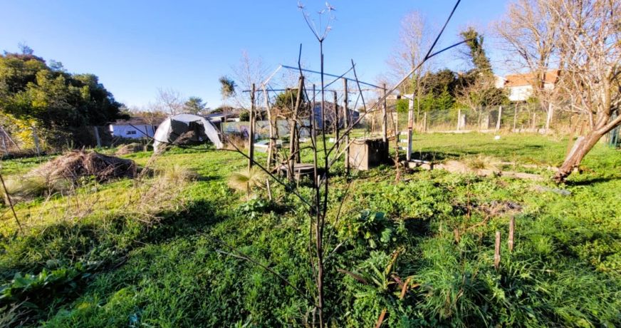 vente Maison Mirambeau