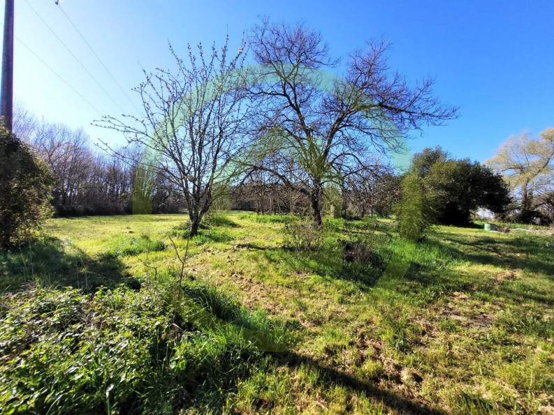 vente Maison Leoville - Photo 2