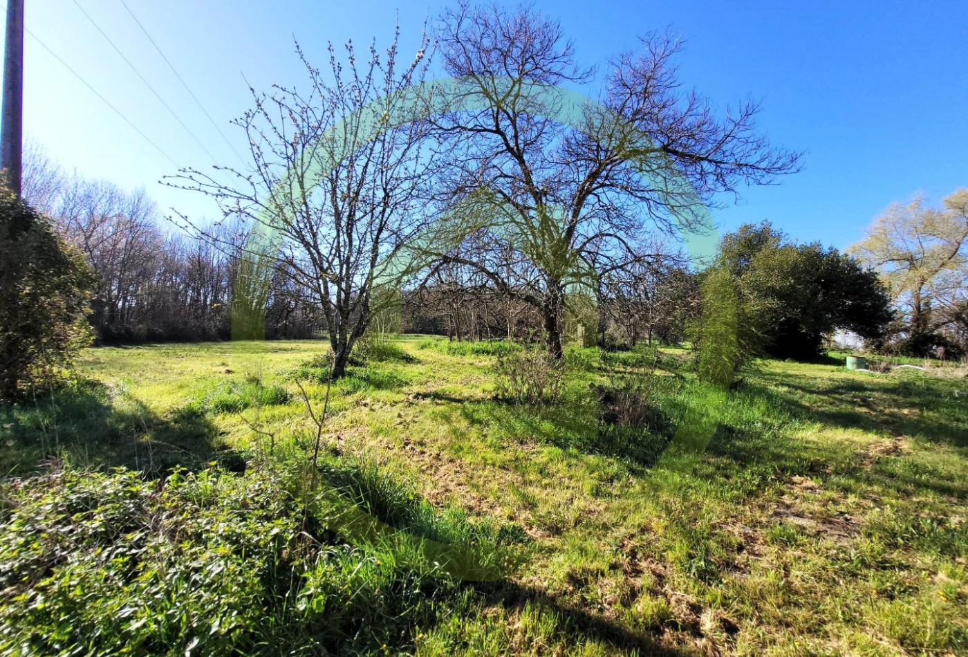 vente Maison Leoville - Photo 3