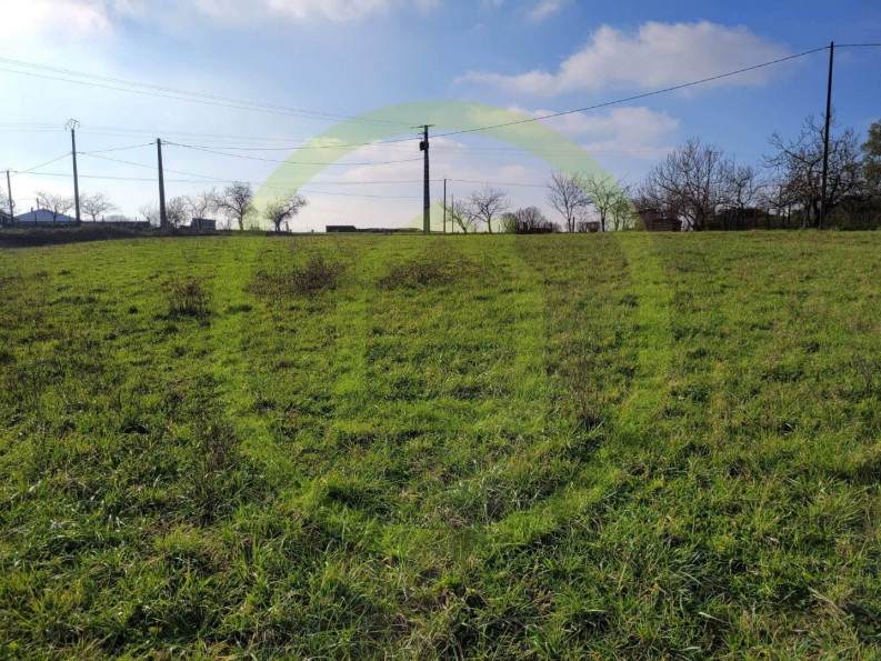 vente Terrain Saint Bonnet Sur Gironde - Photo 1