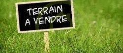 vente Terrain Saint Bonnet Sur Gironde