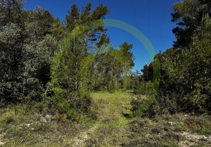 vente Terrain agricole Saint Paul En Foret