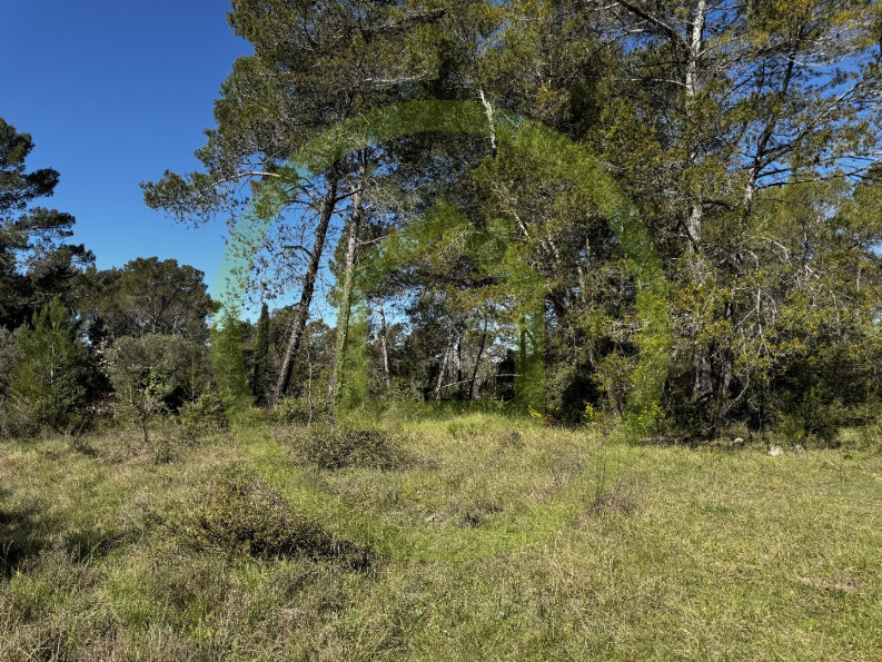 vente Terrain agricole Saint Paul En Foret - Photo 2