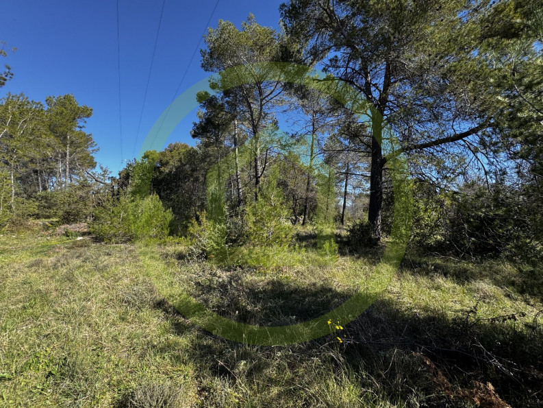 vente Terrain agricole Saint Paul En Foret - Photo 3