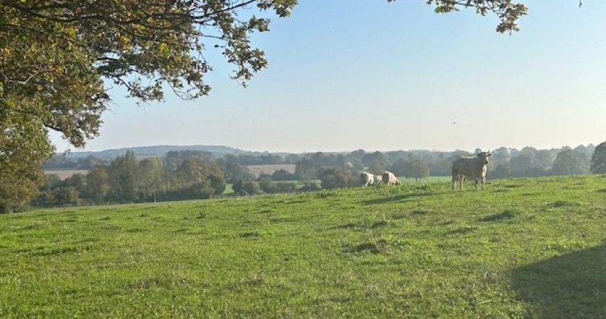 vente Corps de ferme La Ferte Bernard