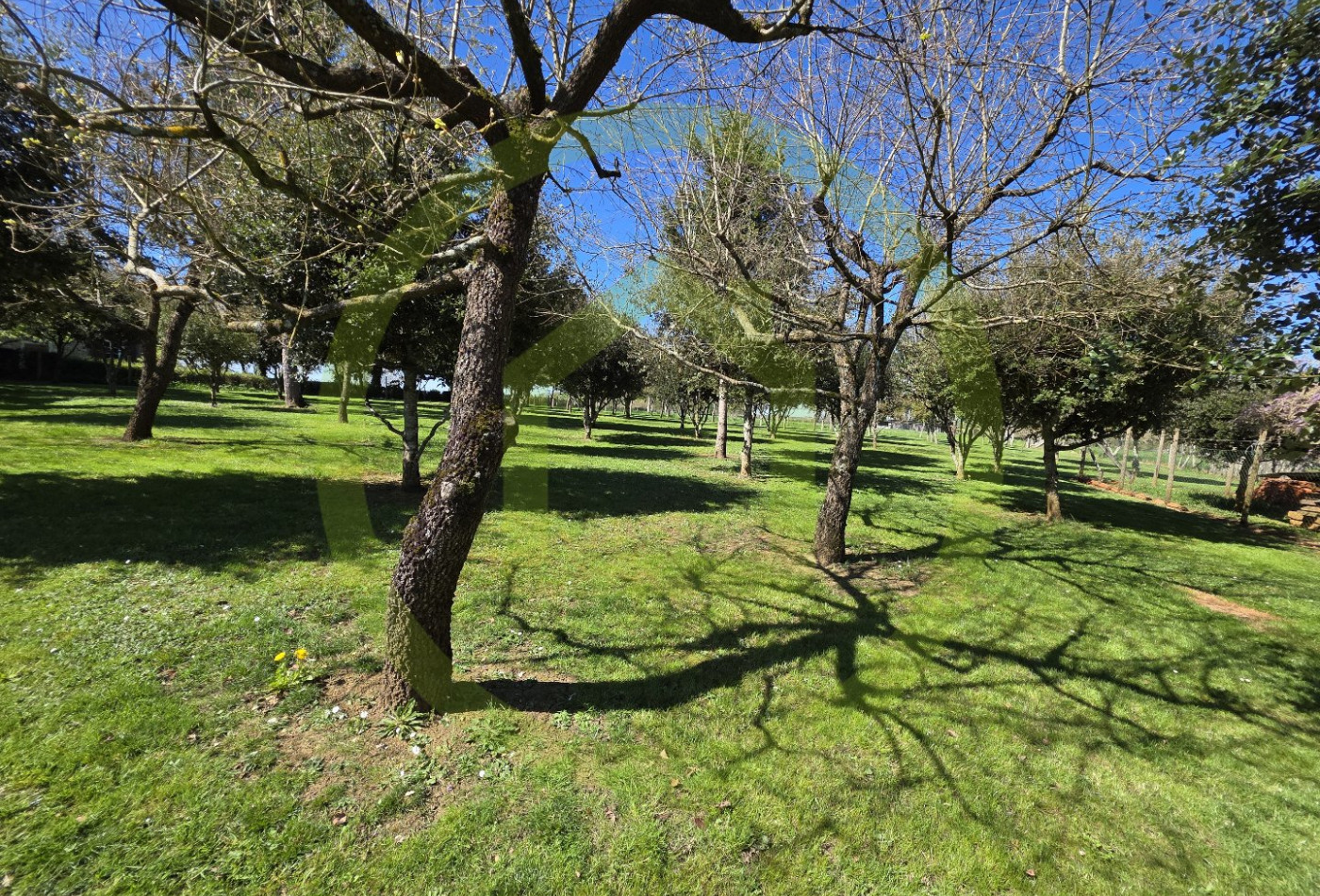 vente Maison Cellefrouin - Photo 10