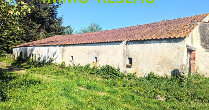vente Maison et dépendances Saint Hilaire De Riez