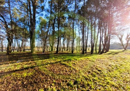 vente Terrain Soubran