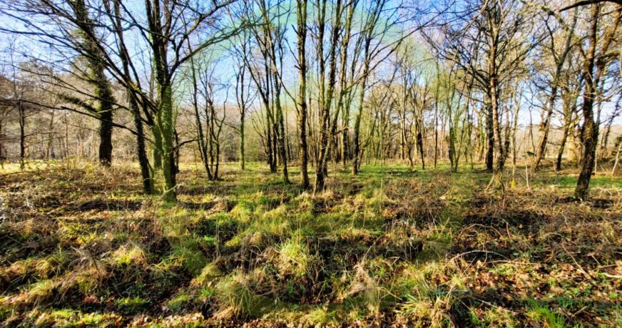 vente Terrain Soubran