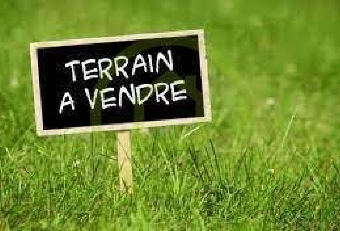 vente Terrain Soubran - Photo 1