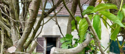 vente Maison Saint Sauveur