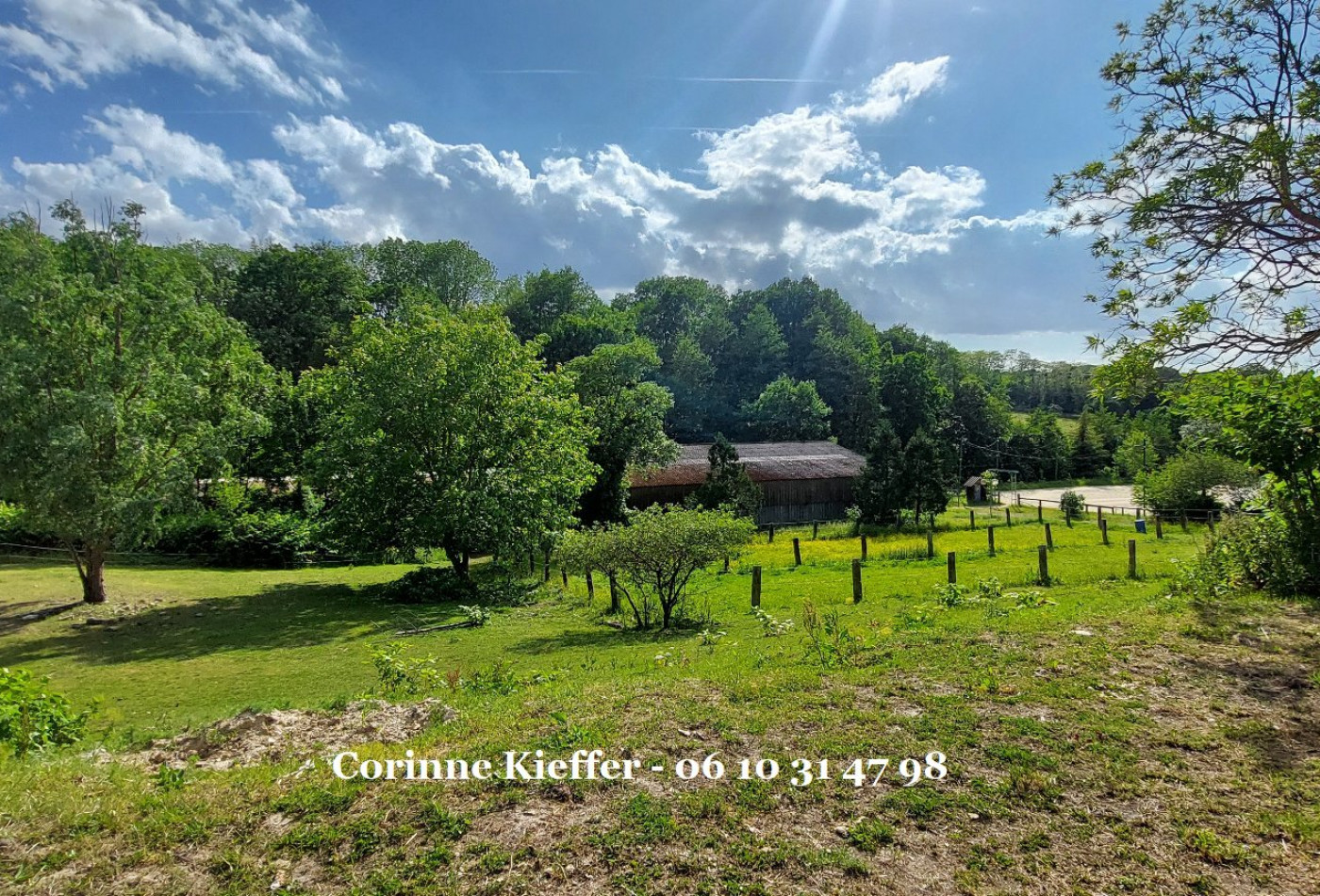 vente Haras / equestre Bethemont La Foret - Photo 4