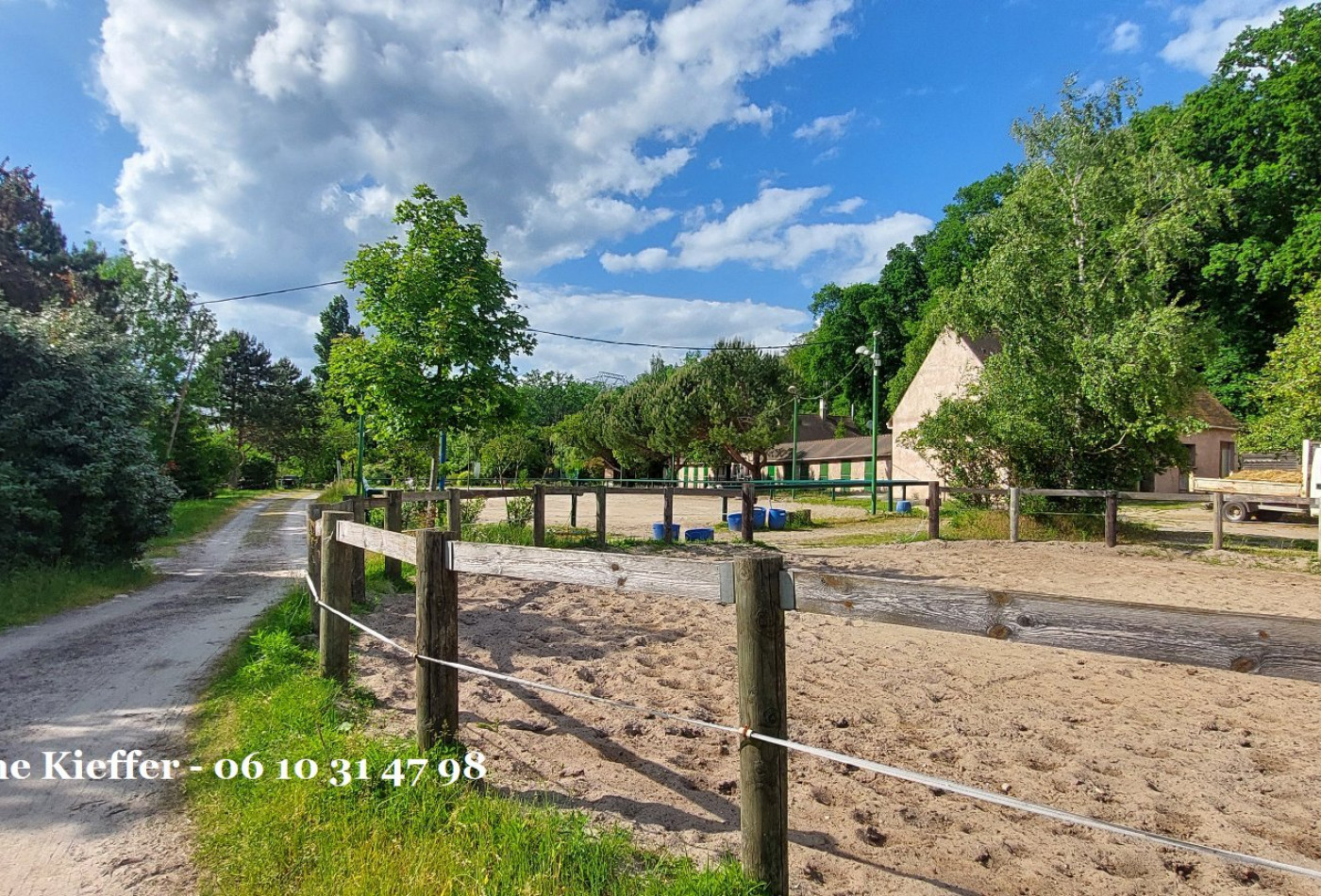 vente Haras / equestre Bethemont La Foret - Photo 8