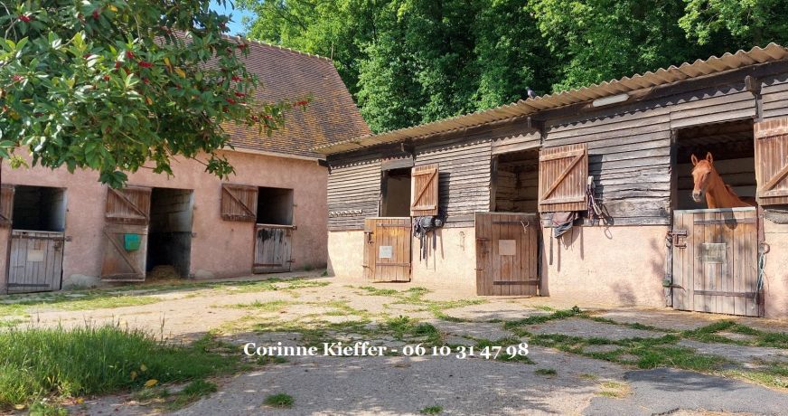 vente Haras / equestre Bethemont La Foret