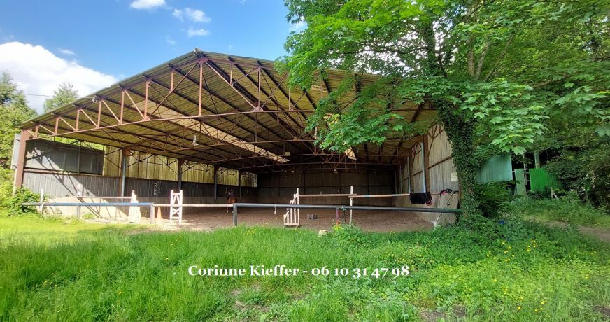 vente Haras / equestre Bethemont La Foret