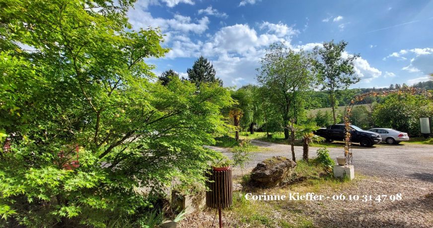 vente Haras / equestre Bethemont La Foret