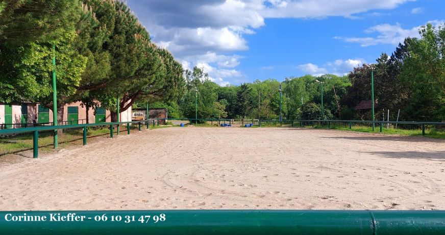 vente Haras / equestre Bethemont La Foret