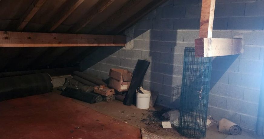 vente Appartement Annemasse