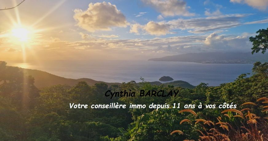 vente Villa Les Anses D'arlet