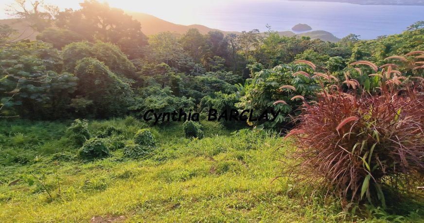 vente Villa Les Anses D'arlet