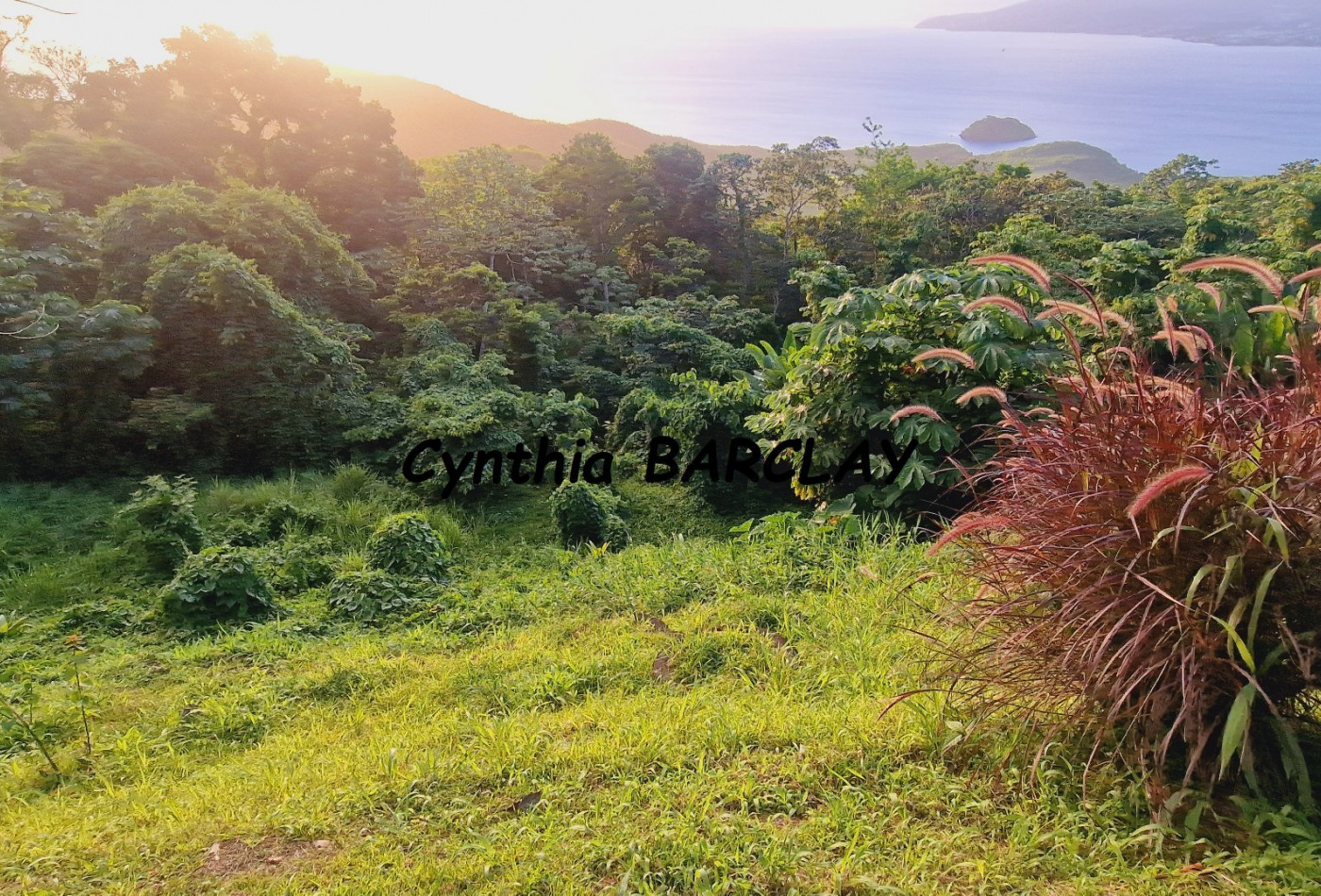 vente Villa Les Anses D'arlet - Photo 2