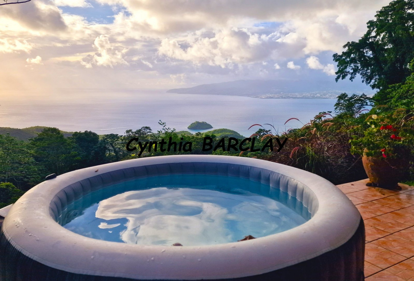 vente Villa Les Anses D'arlet - Photo 3