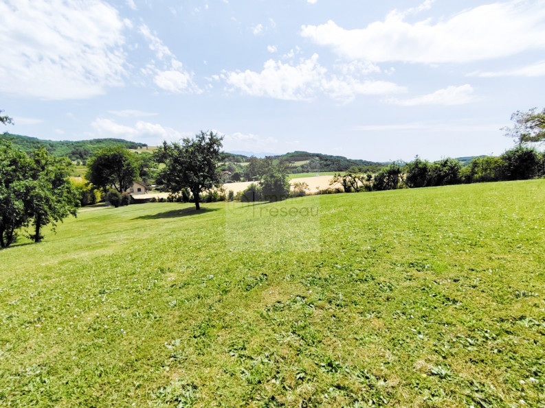vente Maison de maître Saint Michel Sur Savasse - Photo 4
