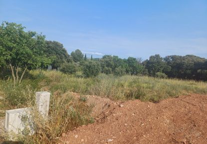 vente Terrain Canet