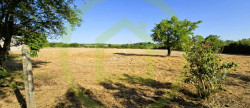 vente Maison Mosnac