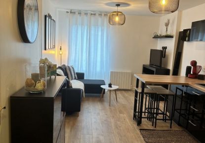 vente Appartement Vigneux Sur Seine